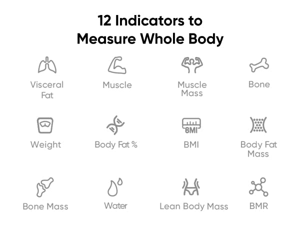 eufy Smart Scale A1 ميزان - Eufy iraq